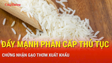 Đẩy mạnh phân cấp thủ tục chứng nhận gạo thơm xuất khẩu