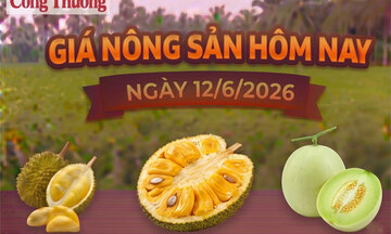 Giá nông sản hôm nay, ngày 12/6: Mít Thái đang ở mức thấp