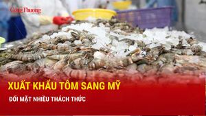 Xuất khẩu tôm sang Mỹ đối mặt nhiều thách thức 