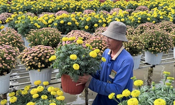 Đồng Tháp: Đặt mục tiêu có 1.352 sản phẩm OCOP vào năm 2030