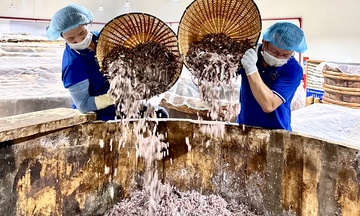 Nâng cao chất lượng, giữ vững thương hiệu OCOP Thanh Hóa