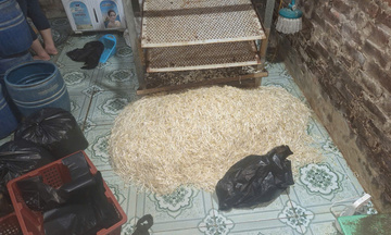 Hưng Yên: Khởi tố đối tượng dùng chất cấm sản xuất gần 800kg giá đỗ