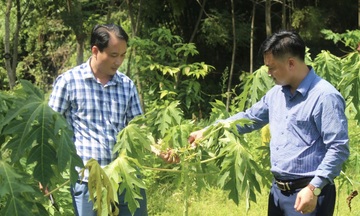 Đi đến cùng sự thật hành trình giữ lửa nghề báo