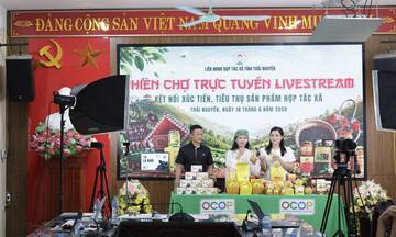 Thái Nguyên: Thúc đẩy phát triển thị trường trong nước, kích cầu tiêu dùng