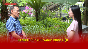 Đánh thức “kho vàng” dược liệu 