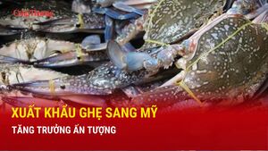 Xuất khẩu ghẹ sang Mỹ tăng trưởng ấn tượng