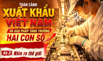 Longform | Toàn cảnh xuất khẩu Việt Nam và giải pháp tăng trưởng 2 con số - Kỳ 2: Nhìn ra thế giới