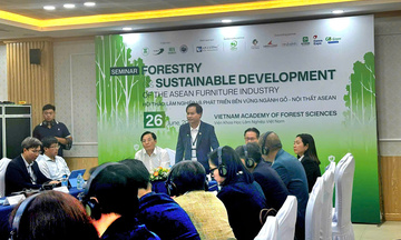 ASEAN thúc đẩy chuỗi cung ứng gỗ minh bạch, đáp ứng tiêu chuẩn xanh 