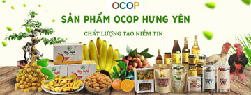 Liên kết sản xuất mở đường cho kinh tế nông thôn Hưng Yên phát triển