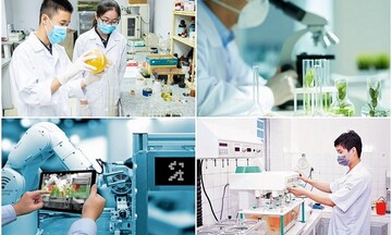Quy định về tổ chức và hoạt động của Quỹ Phát triển khoa học và công nghệ Quốc gia