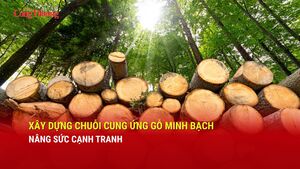 Xây dựng chuỗi cung ứng gỗ minh bạch, nâng sức cạnh tranh