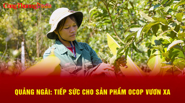 Quảng Ngãi: Tiếp sức cho sản phẩm OCOP vươn xa