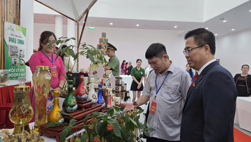 Quảng Ngãi: Xúc tiến thương mại tạo đòn bẩy cho sản phẩm địa phương