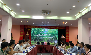 Ngành cao su tăng tốc đáp ứng EUDR trước thời hạn 1/1/2027