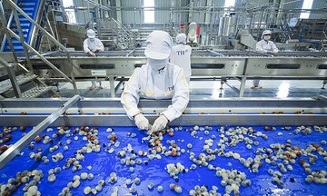 Sơn La: Phát huy 'lợi thế kép' từ năng lượng tái tạo và chế biến nông sản