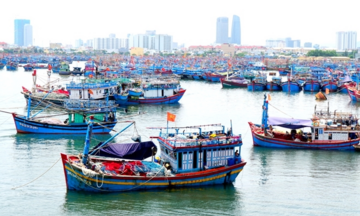 Vi phạm về xuất nhập khẩu thủy sản sống bị phạt tới 50 triệu đồng