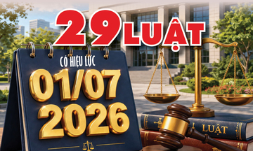 Infographic | 29 luật chính thức có hiệu lực từ ngày 1/7/2026