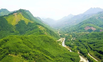 Đà Nẵng: 'Cửa ngõ' giao dịch tín chỉ carbon chất lượng cao