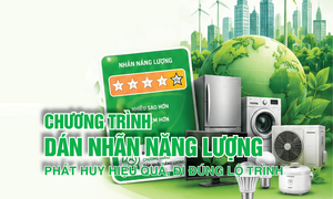 Infographic | Chương trình dán nhãn năng lượng phát huy hiệu quả