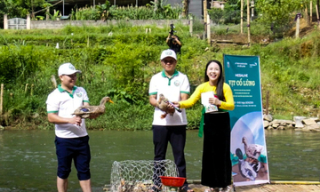 Thanh Hóa: Đưa đặc sản vịt Cổ Lũng lên sàn thương mại điện tử