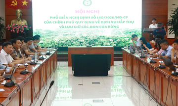 Nghị định 180 mở đường hình thành thị trường carbon rừng