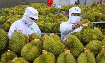 Infographic | Nửa đầu năm 2026, xuất khẩu nông, lâm, thủy sản tăng 6%