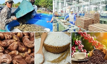 Nhập khẩu nông lâm thủy sản 6 tháng đầu năm đạt gần 27 tỷ USD