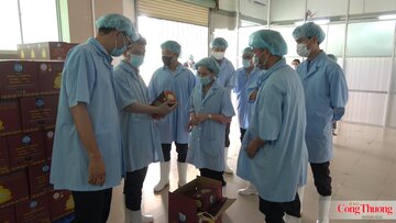 Ban hành quy chuẩn kỹ thuật quốc gia đối với sản phẩm đồ uống có cồn