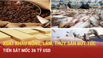 Xuất khẩu nông, lâm, thủy sản bứt tốc, tiến sát mốc 36 tỷ USD