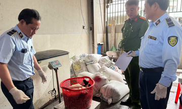 Gia Lai tạm giữ hơn 2 tấn mỡ, da động vật không rõ nguồn gốc