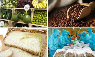 Tăng cường giám sát cộng đồng về an toàn thực phẩm nông lâm thủy sản