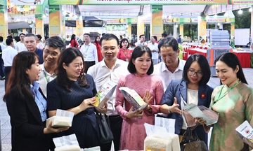 Đà Nẵng: Quy tụ 180 gian hàng tại hội chợ nông nghiệp thành phố 2026