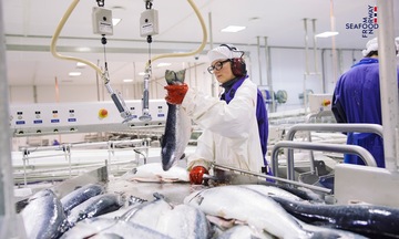 Hiệp định Thương mại tự do Việt Nam - EFTA: Cơ hội cho hải sản Na Uy