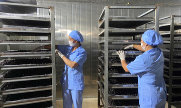 Khuyến công Sơn La hỗ trợ doanh nghiệp nâng cao giá trị sản phẩm