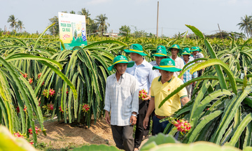 Điểm tựa cho một mùa vụ vững tin hơn