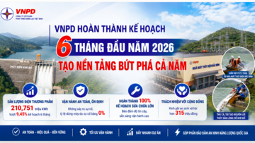 VNPD hoàn thành kế hoạch sản xuất kinh doanh 6 tháng đầu năm 2026, tạo đà bứt phá cả năm
