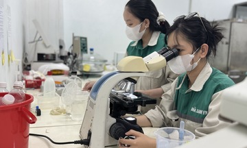 Quảng Ngãi: Ethanol Dung Quất trở lại đường đua năng lượng xanh