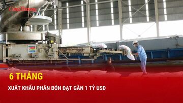 6 tháng, xuất khẩu phân bón đạt gần 1 tỷ USD