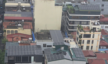 Đẩy mạnh chuyển đổi năng lượng xanh, phát triển năng lượng tái tạo