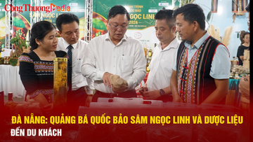 Đà Nẵng: Quảng bá quốc bảo sâm Ngọc Linh và dược liệu đến du khách