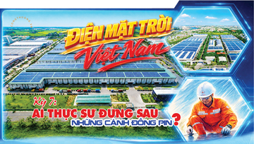 Điện mặt trời Việt Nam – Kỳ 7: Ai thực sự đứng sau những cánh đồng pin?