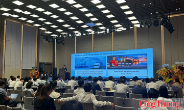 Khánh Hòa mời gọi đầu tư vào cảng biển và logistics
