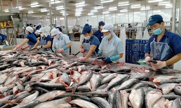 Infographic|6 tháng đầu năm, xuất khẩu thủy sản đạt hơn 5,7 tỷ USD