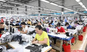 EVFTA và hàng Việt tại Bắc Âu: Hiệu quả thương mại trước sức ép tiêu chuẩn mới