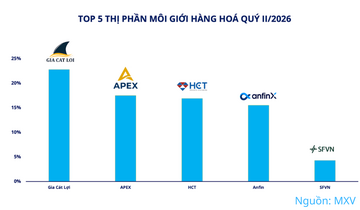 Thị trường giao dịch hàng hóa quý II: Thanh khoản điều chỉnh, tiếp tục tăng trưởng 