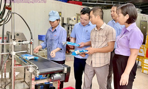 Khuyến công Tuyên Quang tiếp sức doanh nghiệp đổi mới công nghệ