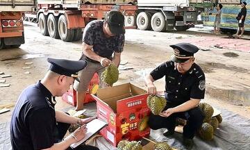 Kịp thời hỗ trợ, tạo thuận lợi cho hàng nông sản xuất khẩu
