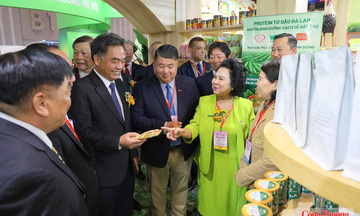 Đầu tàu kinh tế nỗ lực đạt mục tiêu tăng trưởng - Bài 1: Những gam màu sáng công nghiệp, thương mại
