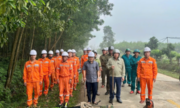 Hà Tĩnh: Chủ động bảo vệ hành lang lưới điện trước mùa mưa bão