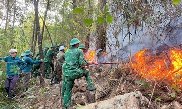 Quảng Trị: Liên tiếp xảy ra các vụ cháy rừng do thời tiết nắng nóng